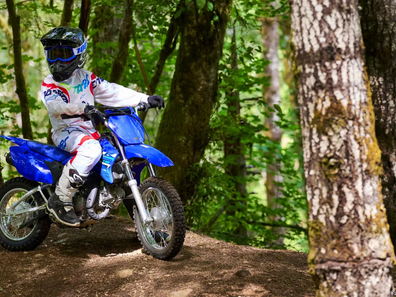 Billede 3 - Yamaha TT 110 R