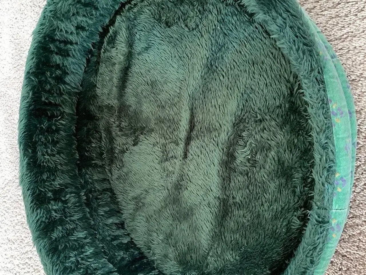 Billede 1 - hundekurve.