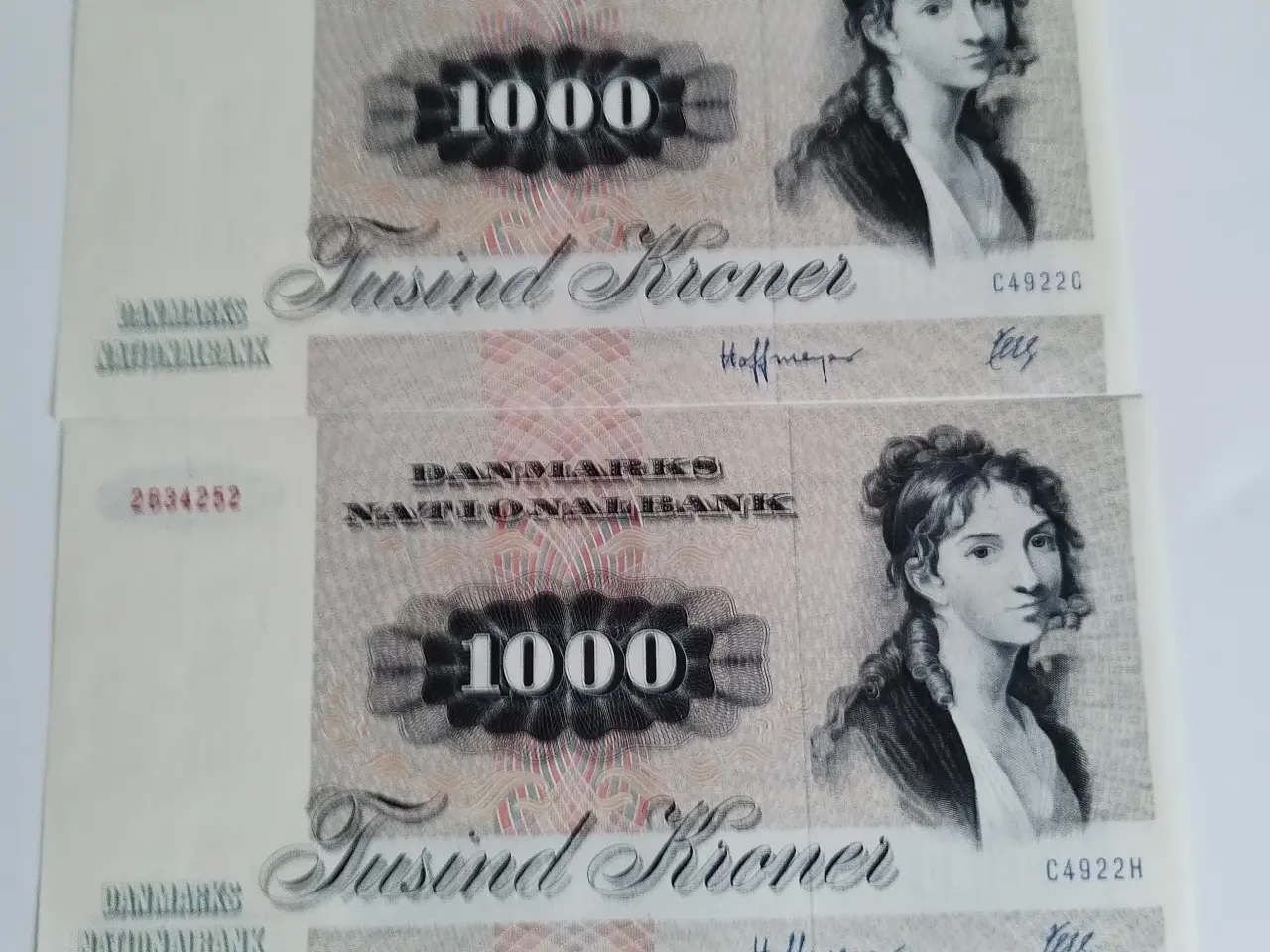 Billede 4 - 1000 Kroner Egern 🐿️