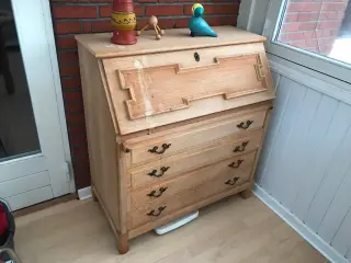 Egetræ chatol