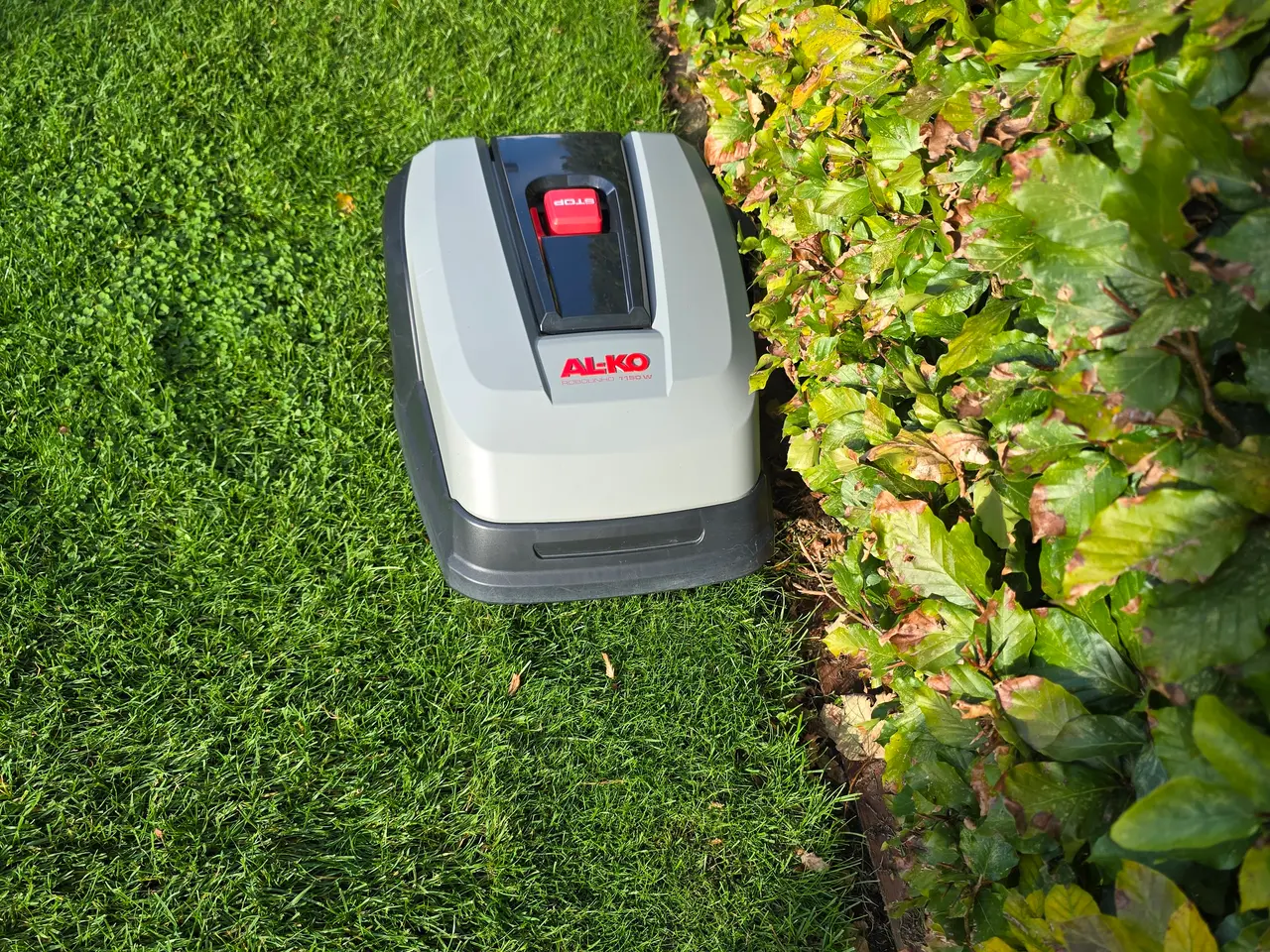 Billede 5 - Al-Ko Robolinho 1150w robotplæneklipper