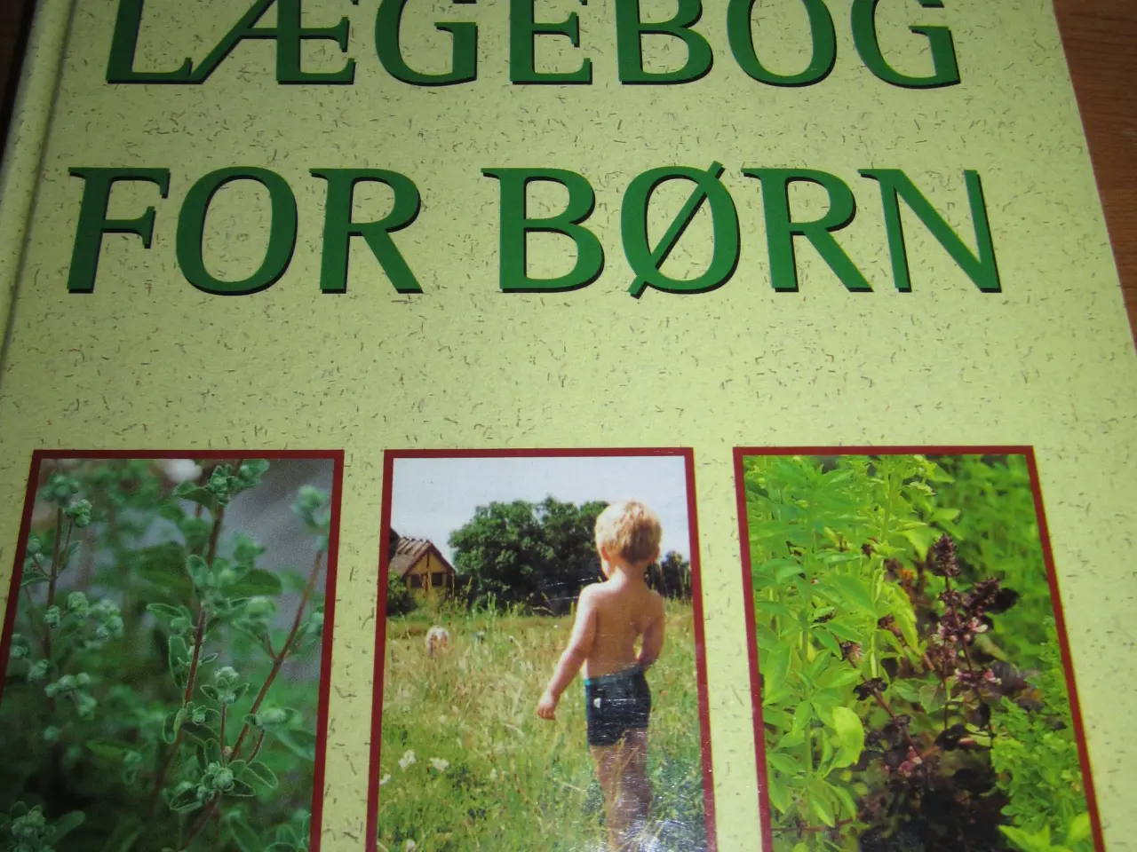 Billede 1 - NATUR LÆGEBOG FOR BØRN.