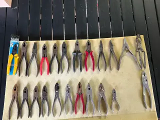Bacho sweden mfl
