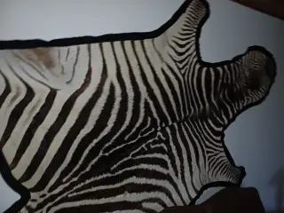 Zebraskind, Crawshays zebra