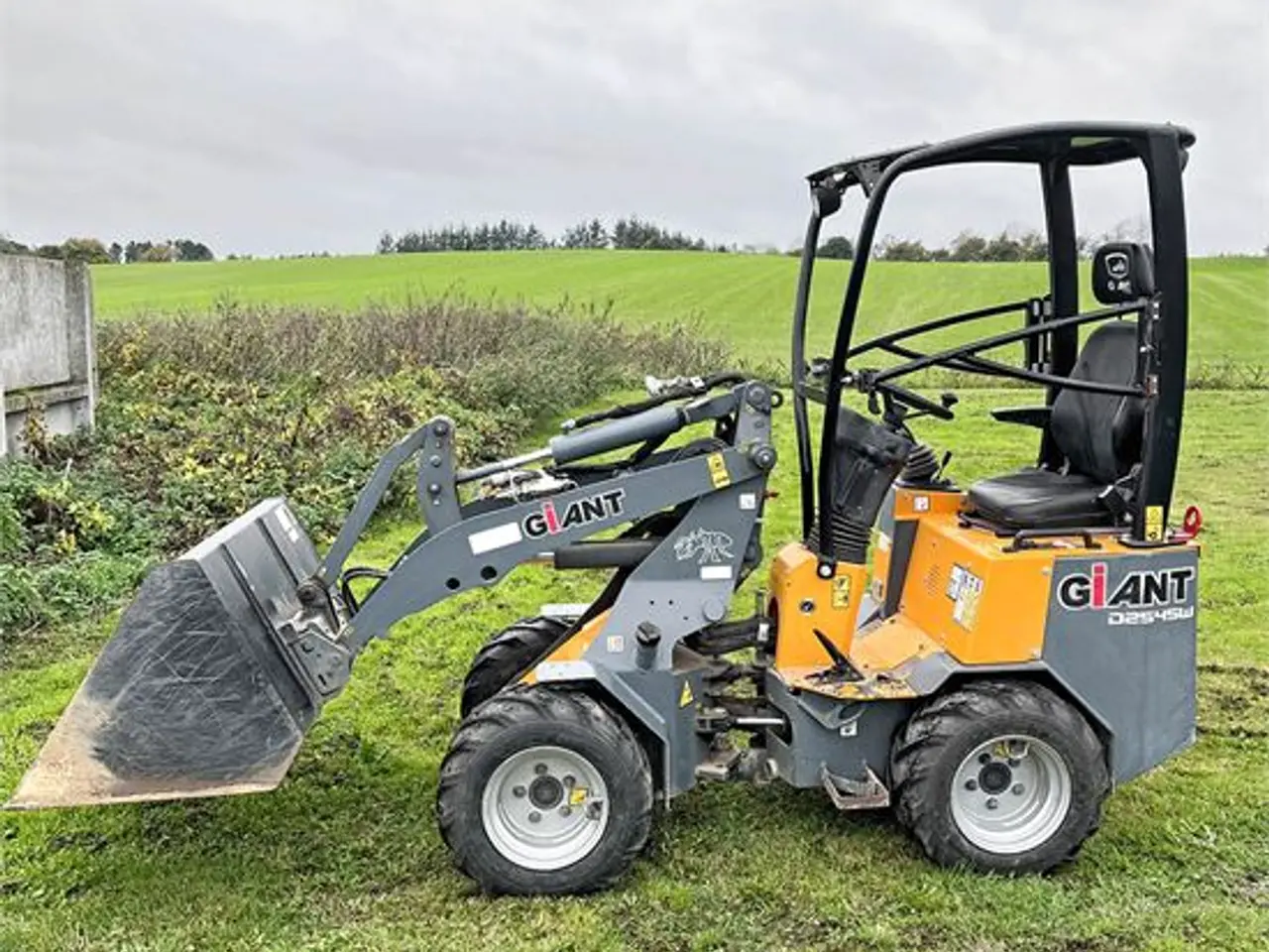 Billede 2 - Giant D254 SW - Vægt / weight 1,6 ton