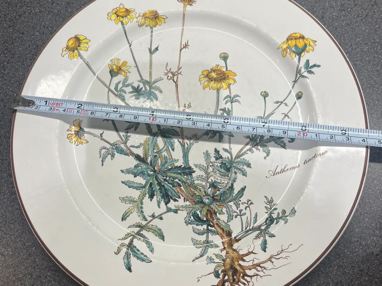 Billede 6 - Villeroy & Boch - Botanica 6 stk middagstallerkene