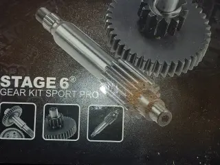 stage 6 gearing