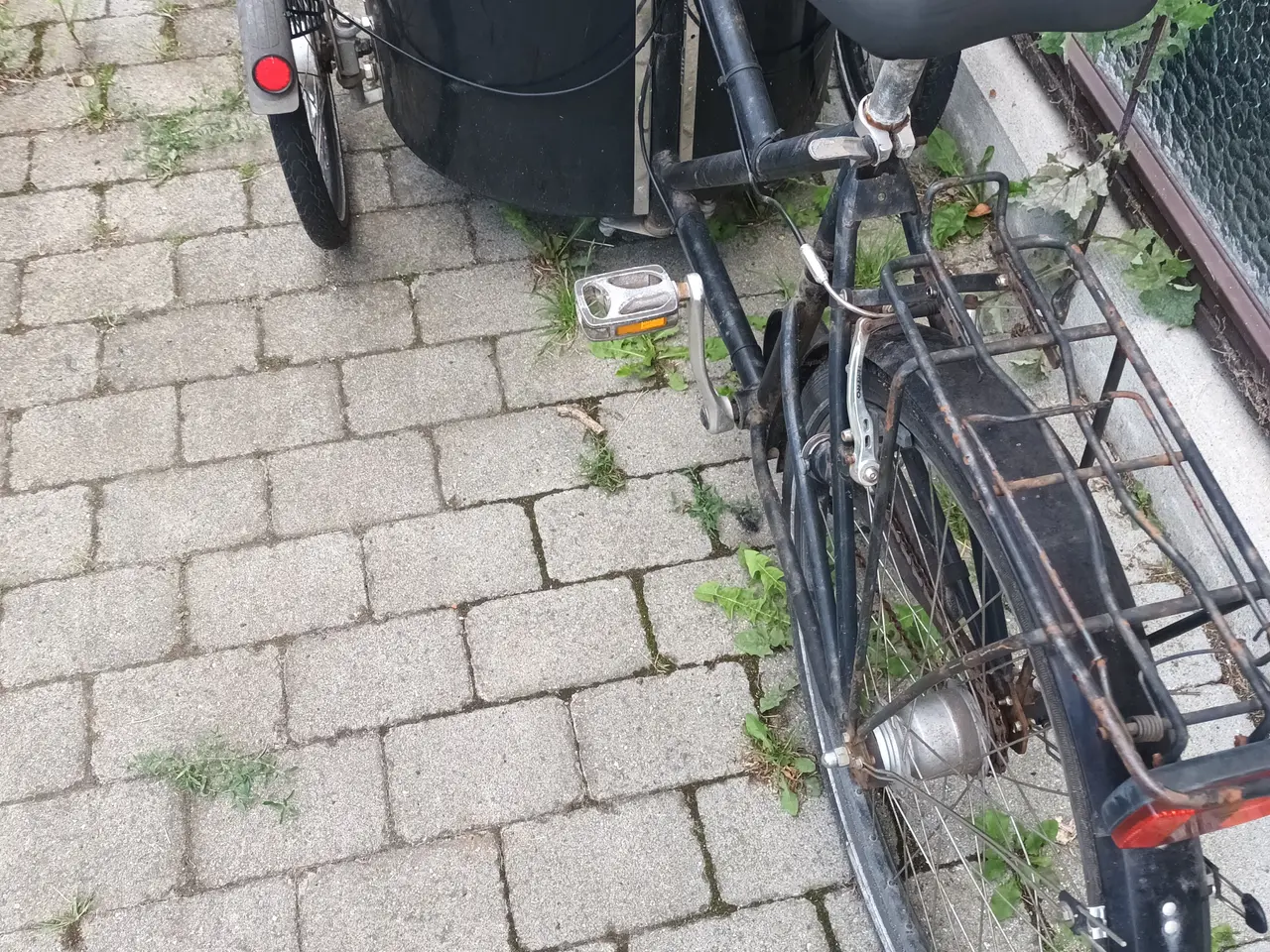 Billede 2 - Nihola Dog med hundelåge
