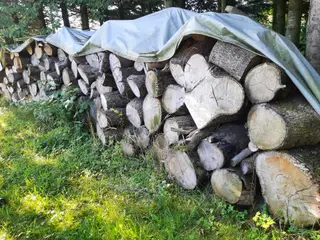 Løvtræ blandet tørt
