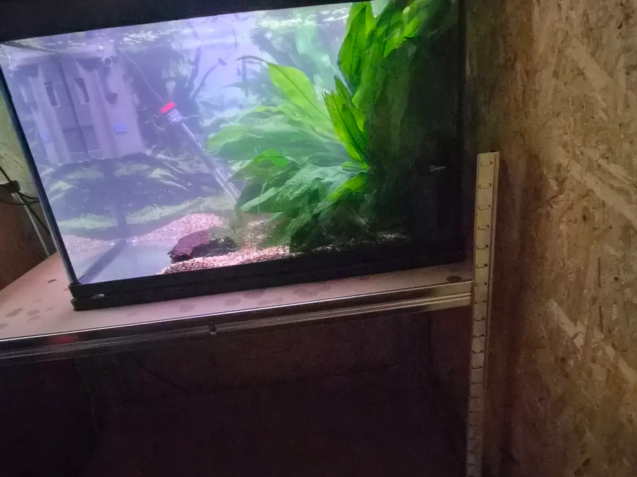 Billede 2 - 350 l Juwel akvarie og 110 l SuperFish akvarie