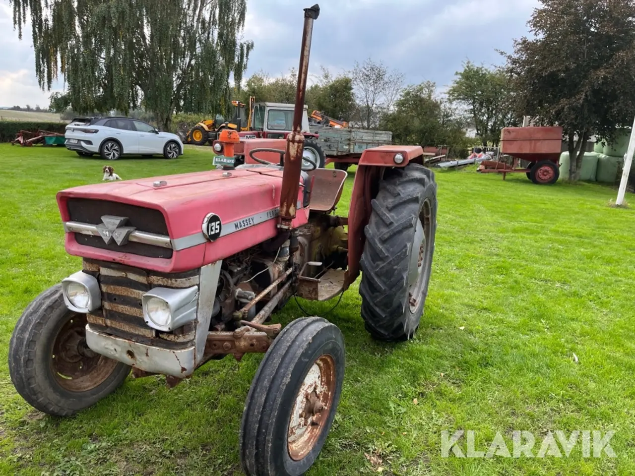 Billede 1 - Veterantraktor Massey Ferguson 135