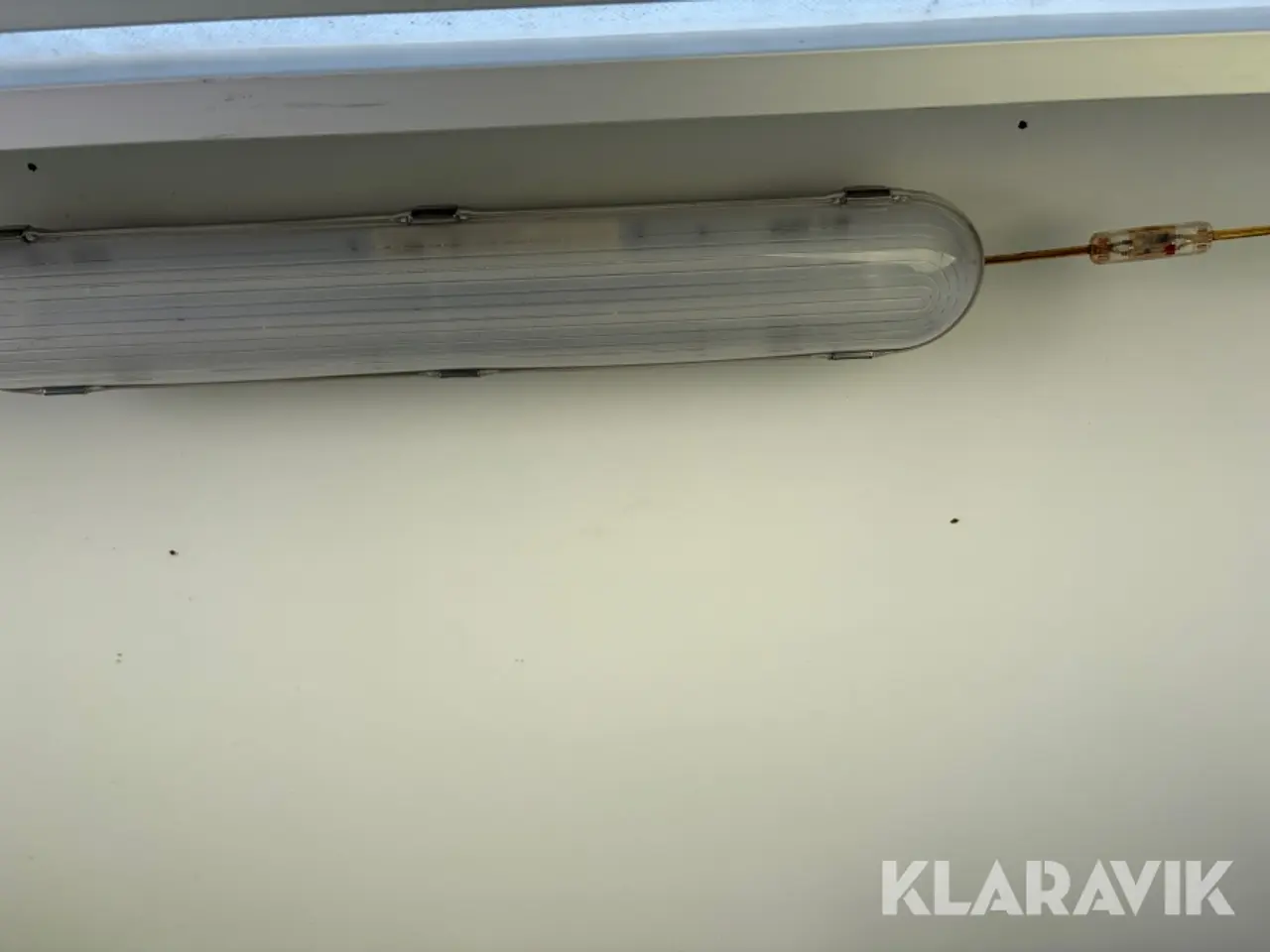 Billede 9 - Trailer Knott Salsa Zwolle