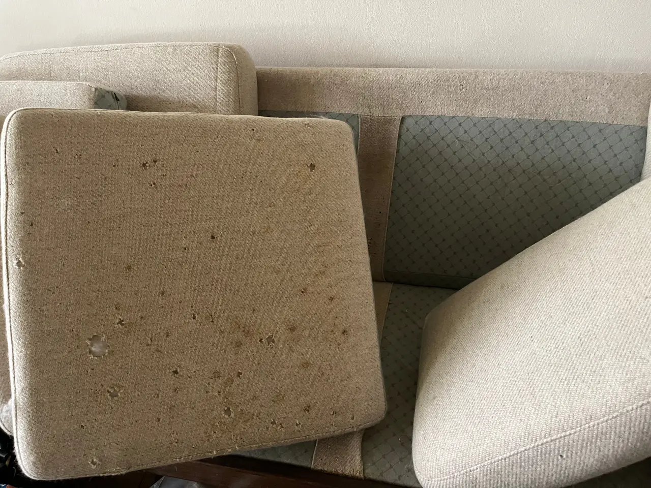 Billede 3 - Klassisk sofa med hynder i uld 