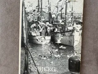 Bog om Esbjerg