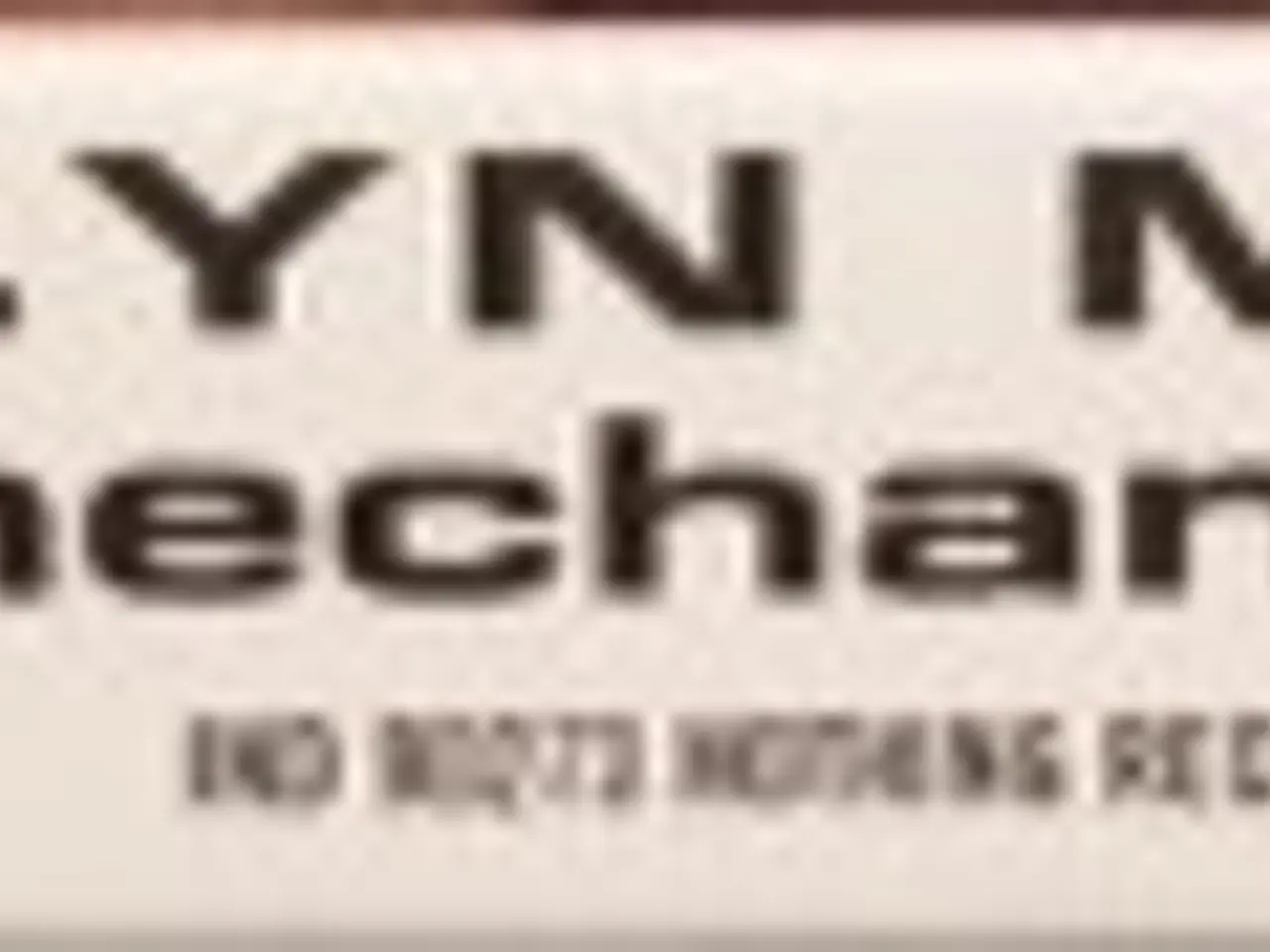 Billede 3 - Mar1lyn Man5on* – Mechanical Animals – CD