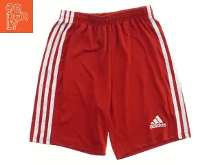 Røde Adidas shorts fra Adidas (str. 164)