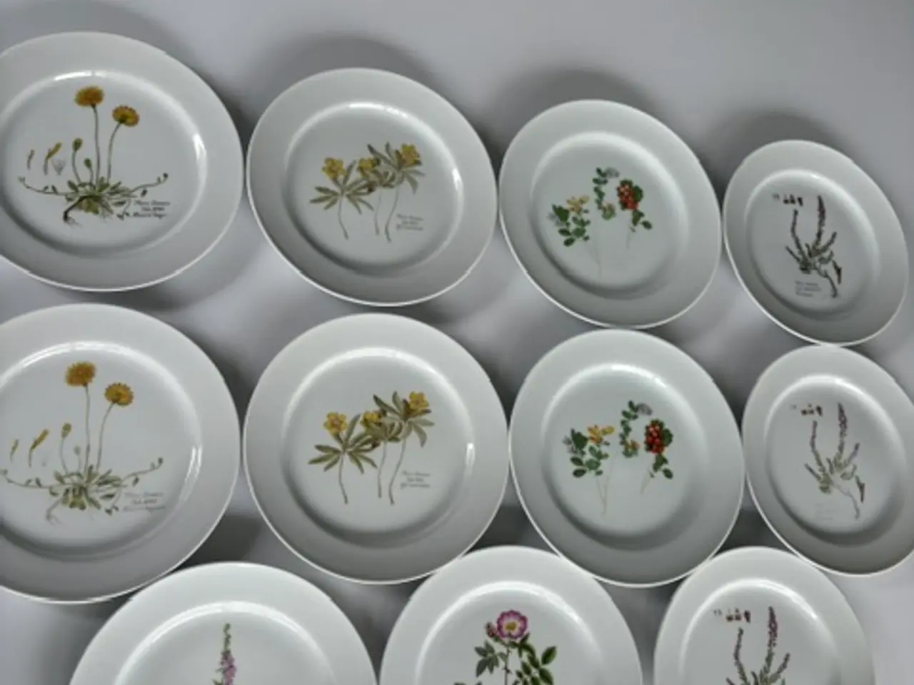 Billede 2 - 11 Flora Danica tallerkener med botaniske motiver