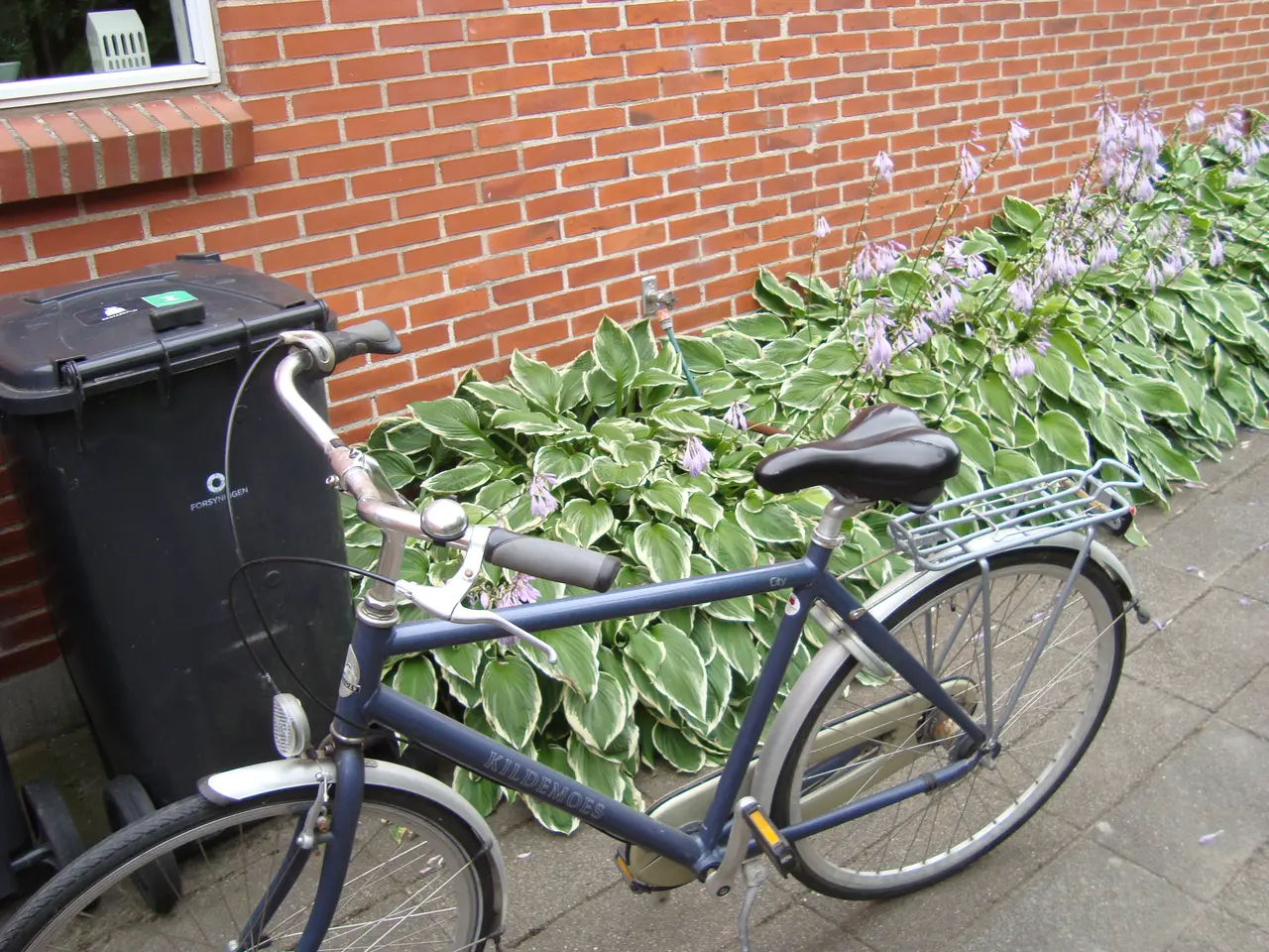 Billede 1 - Herrecykel