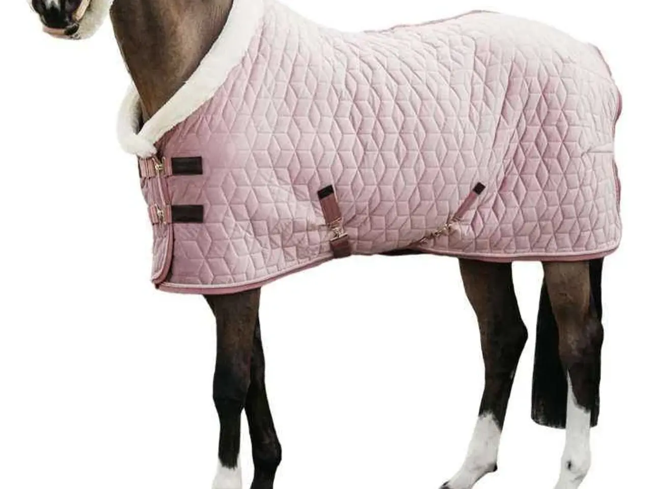 Billede 2 - Kentucky show rug old rose