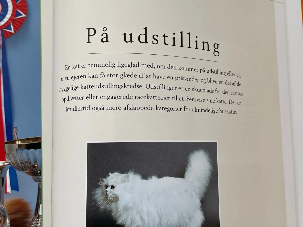 Billede 4 - Bog Kattepleje og katteracer