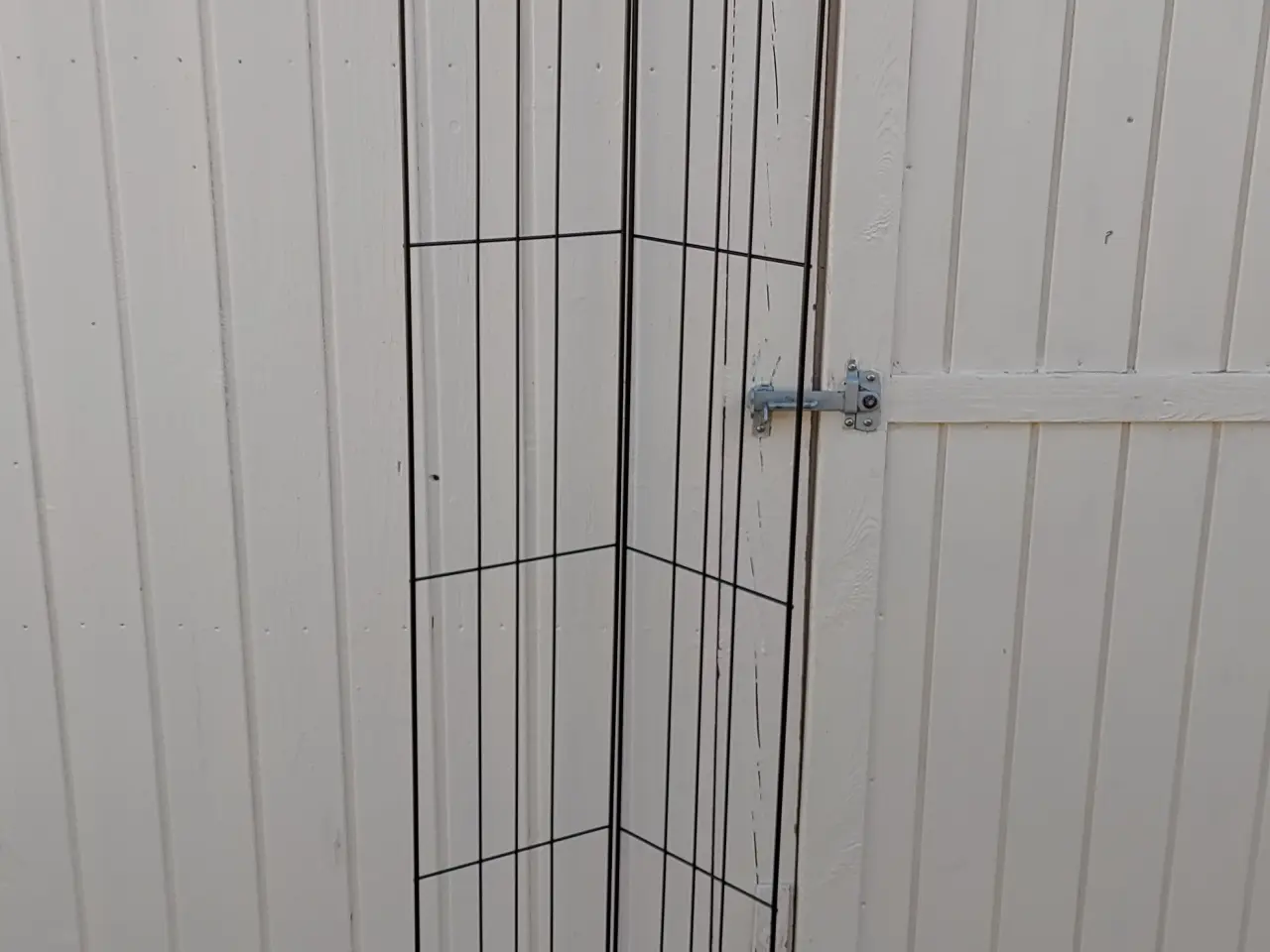 Billede 2 - Haveespalier, todelt!