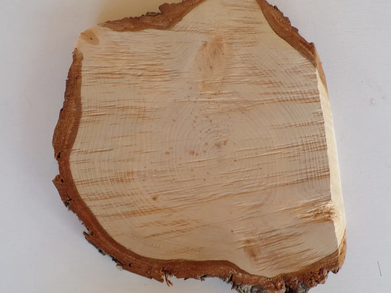 Billede 1 - NY Thuja Træskive 26 cm