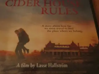 ÆBLEMOSTREGLEMENTET. 1999. Dvd.