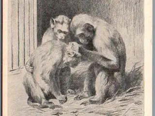 Børnehjælpsdagen 1911 - Postkort - Ubrugt
