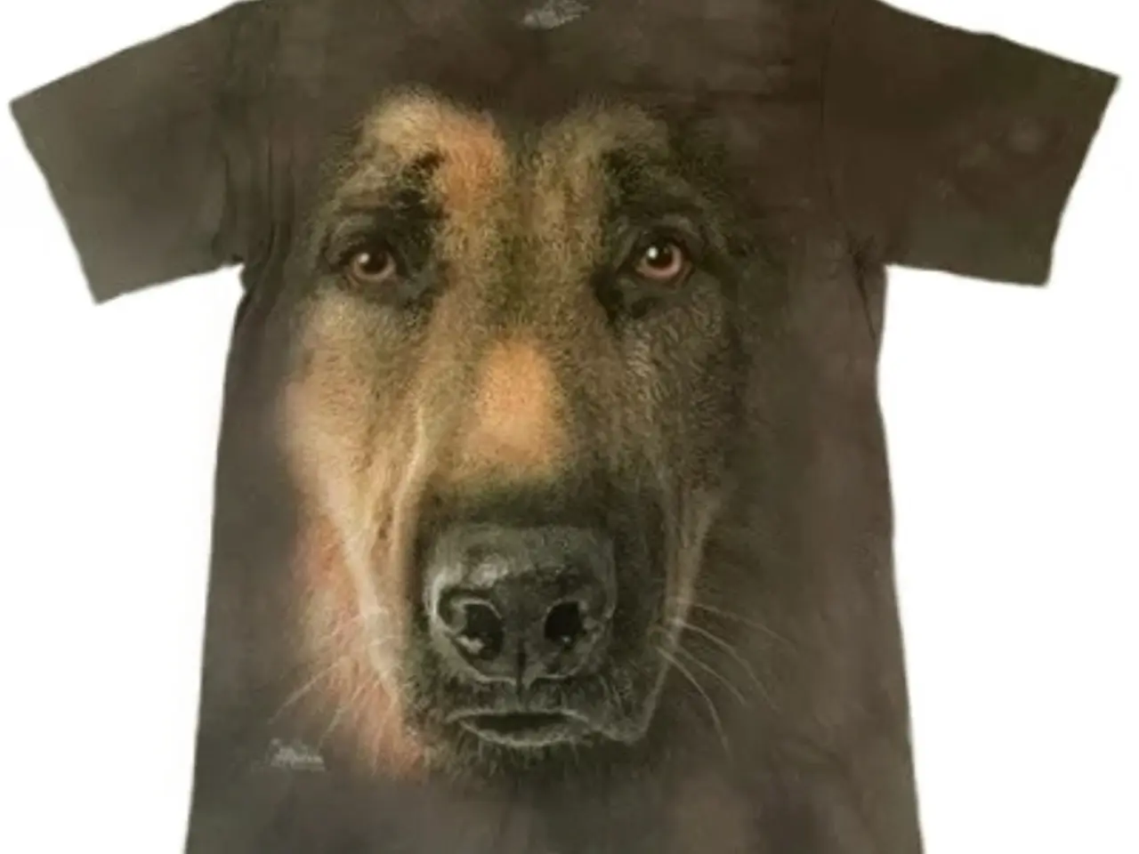 Billede 1 - The Mountain hunde T-shirts i flere str.