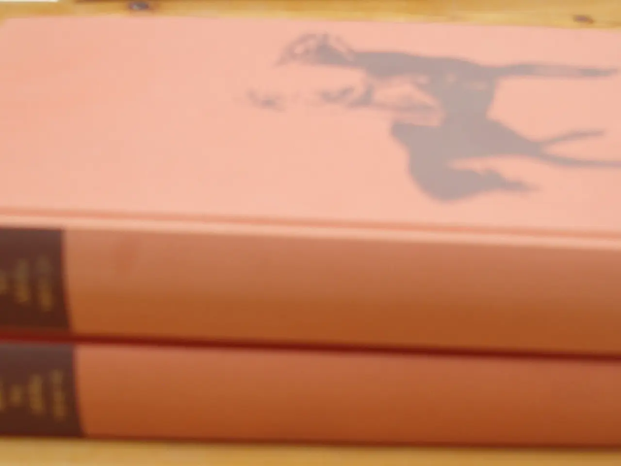 Billede 1 - Karen Blixen, Breve fra Afrika 1914-31