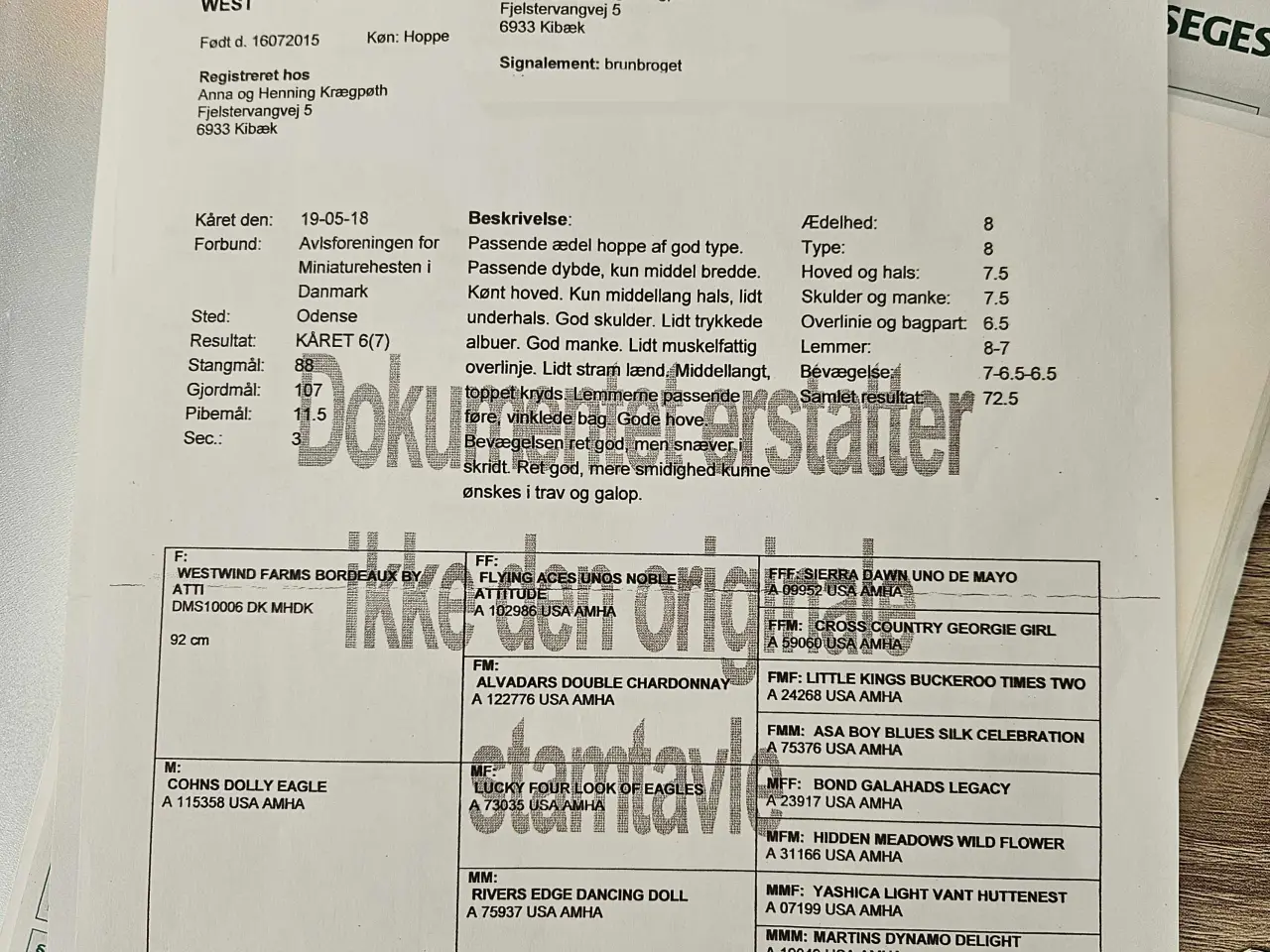 Billede 9 - Kåret AMHA Hoppe
