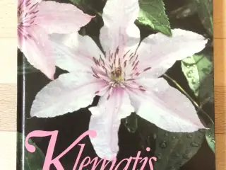 Klematis, Flemming Hansen