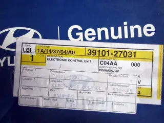 Injection electronic control unit Hyundai Elantra