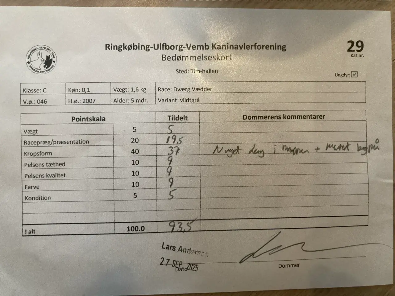 Billede 3 - Sød og smuk hunkanin