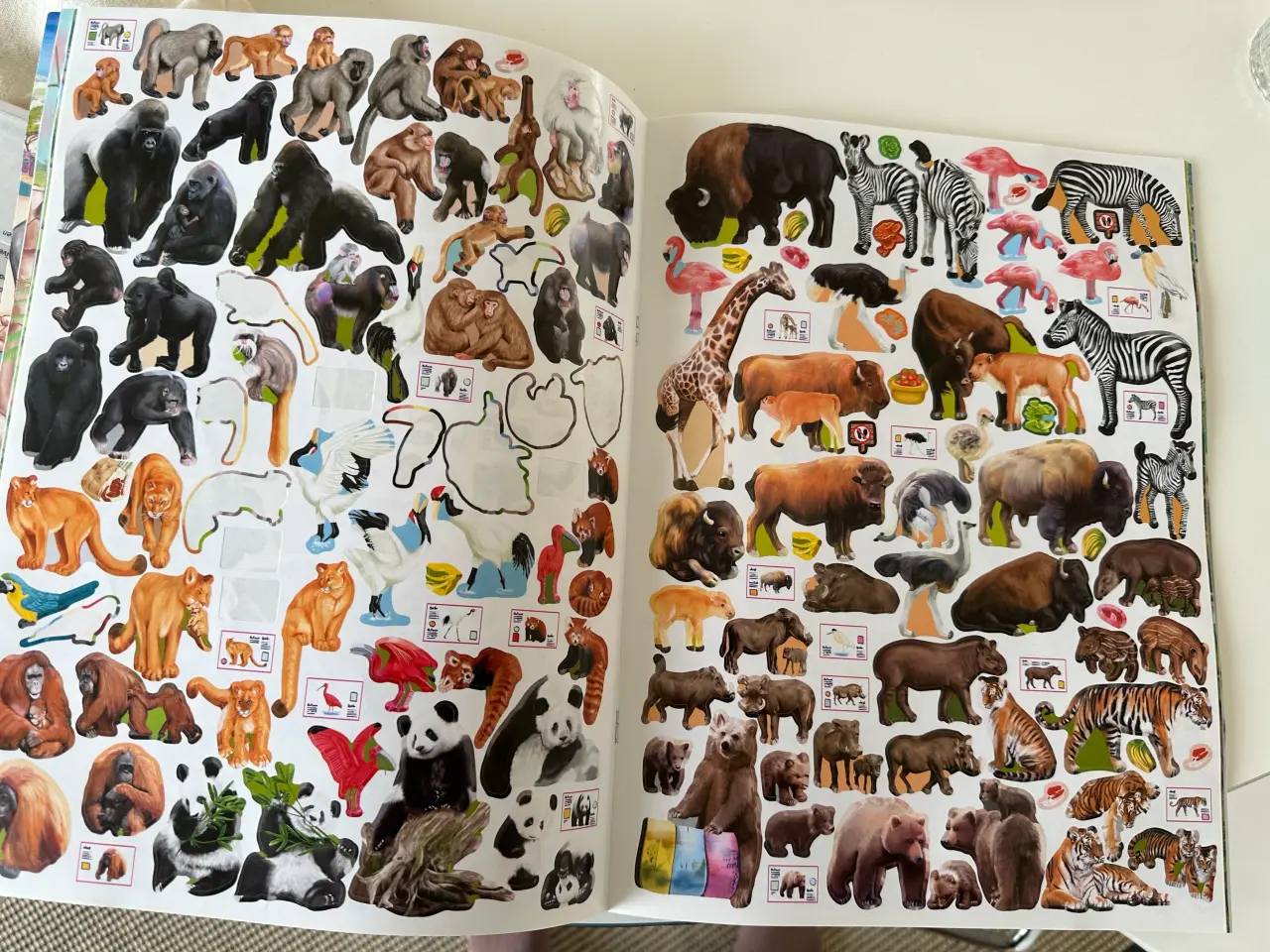 Billede 3 - Male, tegne, zoo, stickers