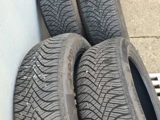 Goodride helårsdæk
