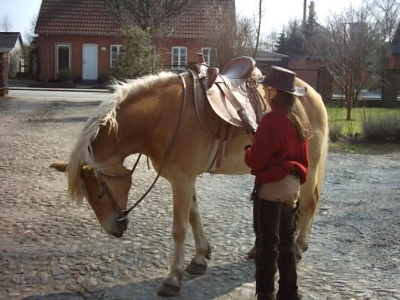 Billede 10 - Fine Western sadler