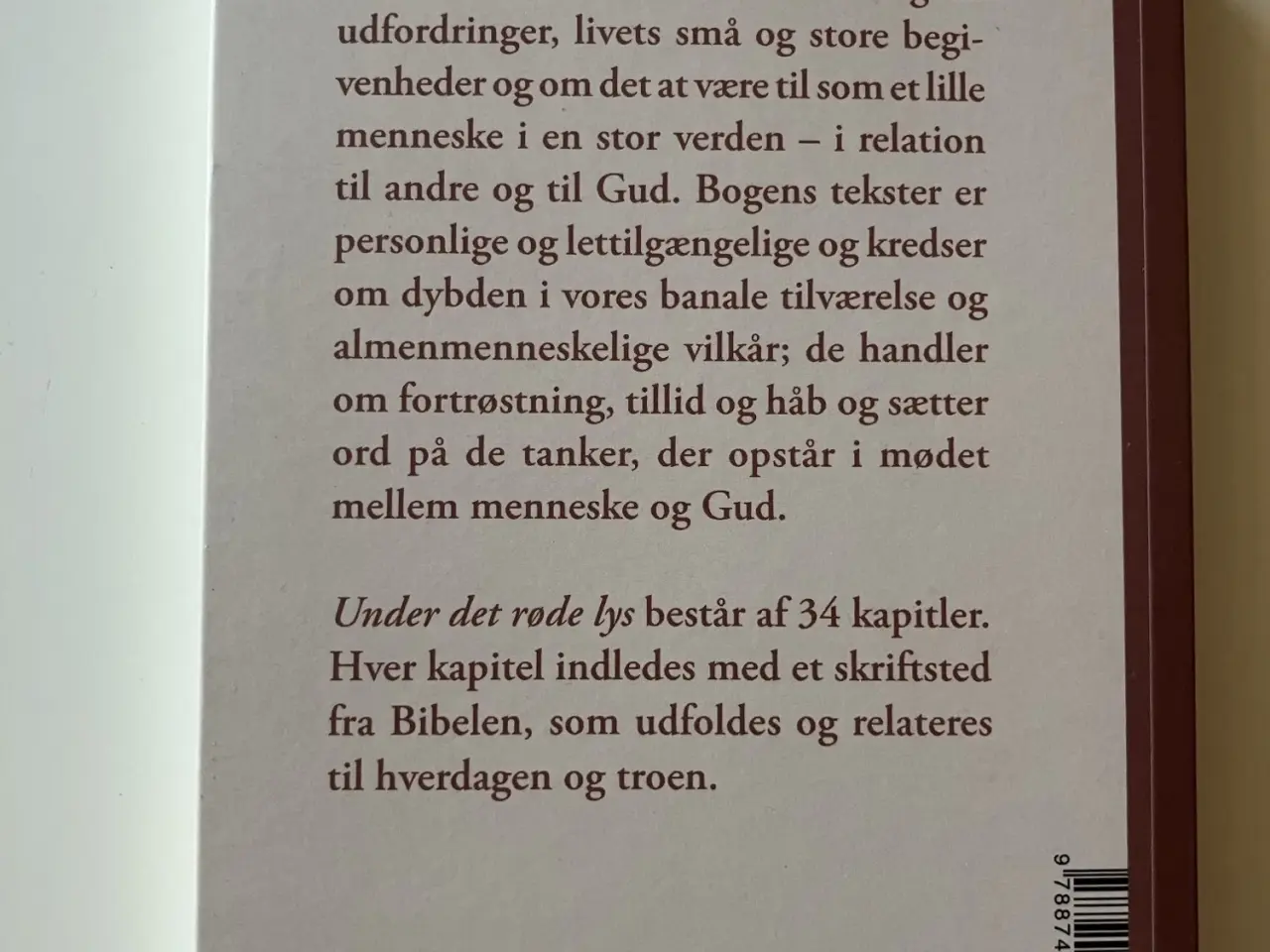 Billede 2 - Under det røde lys. Af Stine Munch