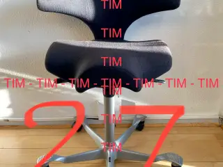 HÅG Capisco 8106