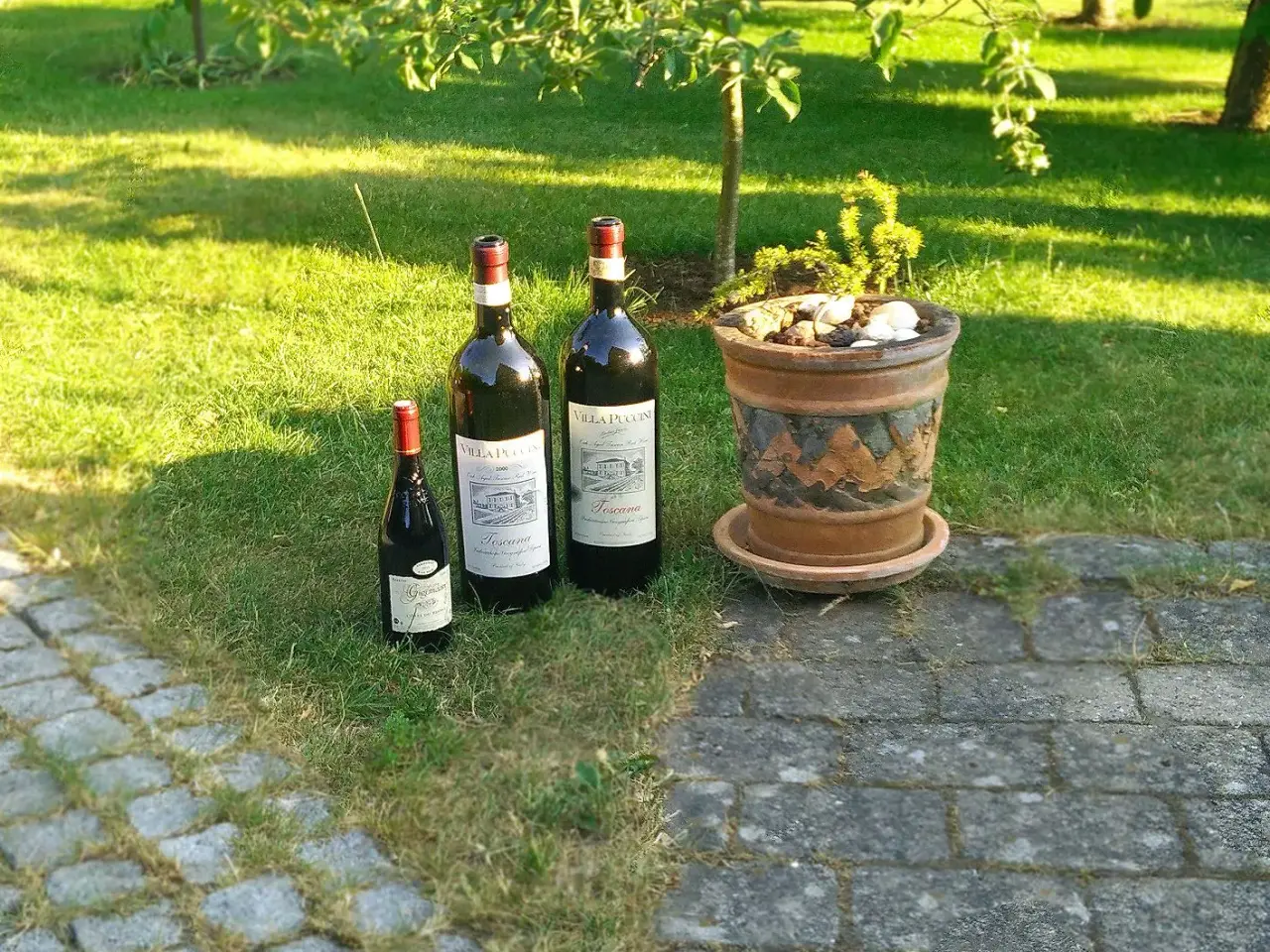 Billede 2 - Vinflasker 3L