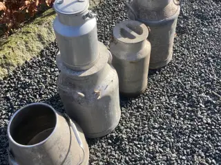 Mælke junger +Spand
