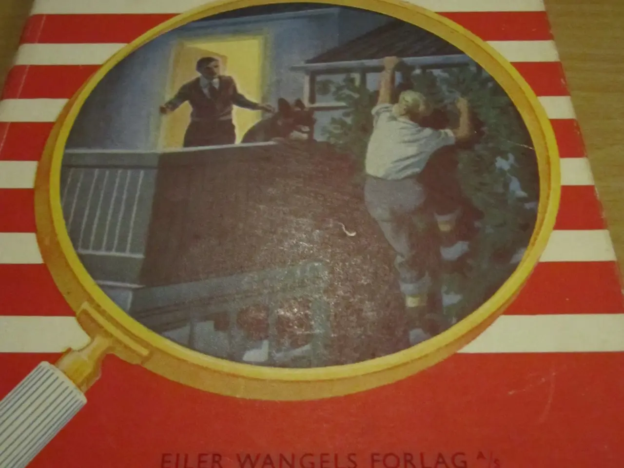 Billede 3 - Gamle JAN bøger fra 1952 og 1956.