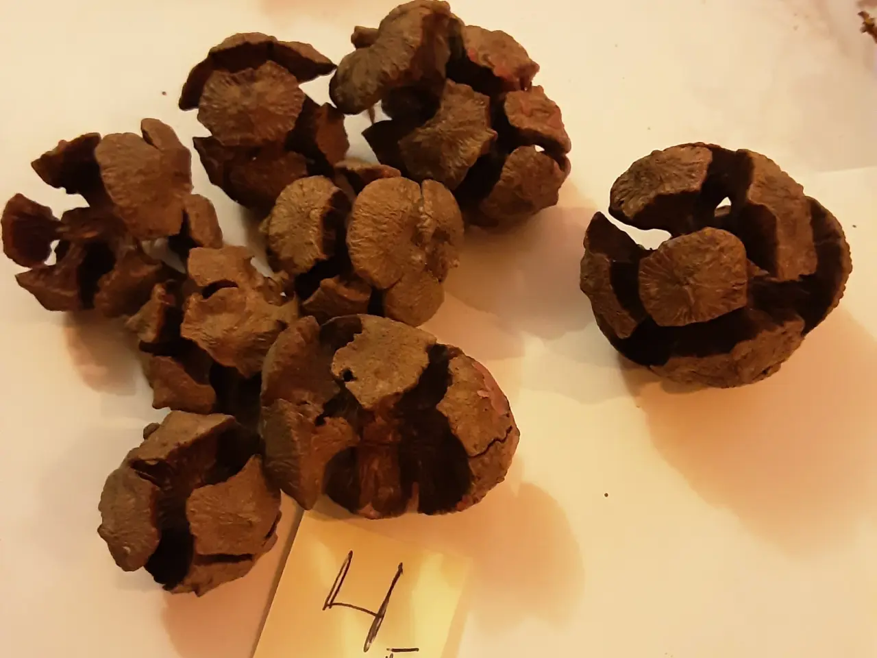 Billede 8 - Natur juledekoration pynt. Samlede pris. 28.00kr.