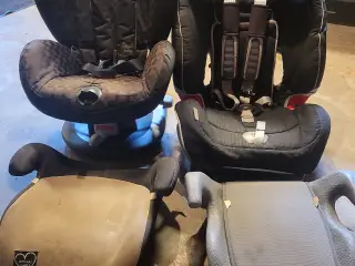 Auto stole