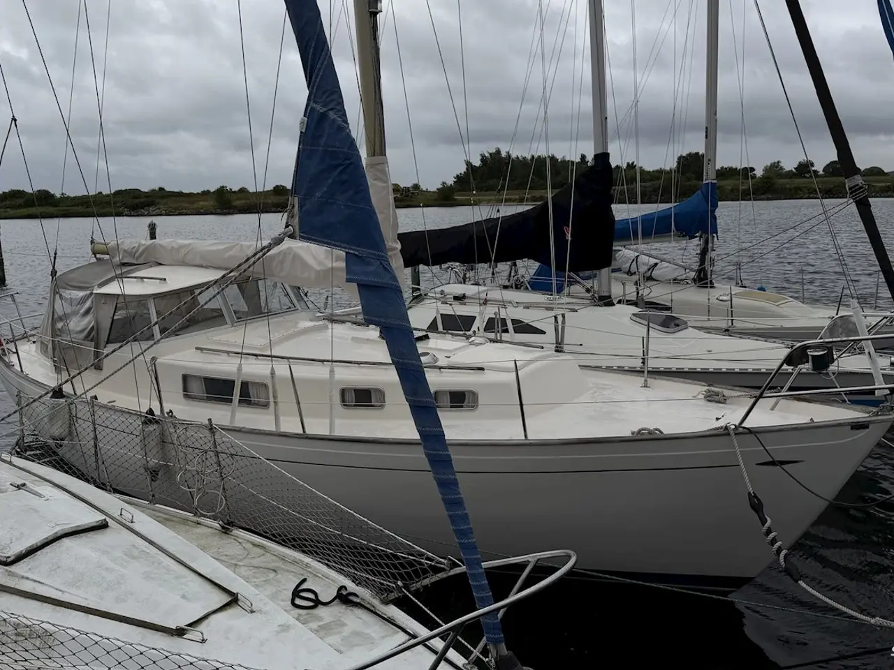 Billede 5 - Hallberg-Rassy Rasmus 35