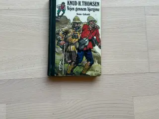 Vejen gennem bjergene