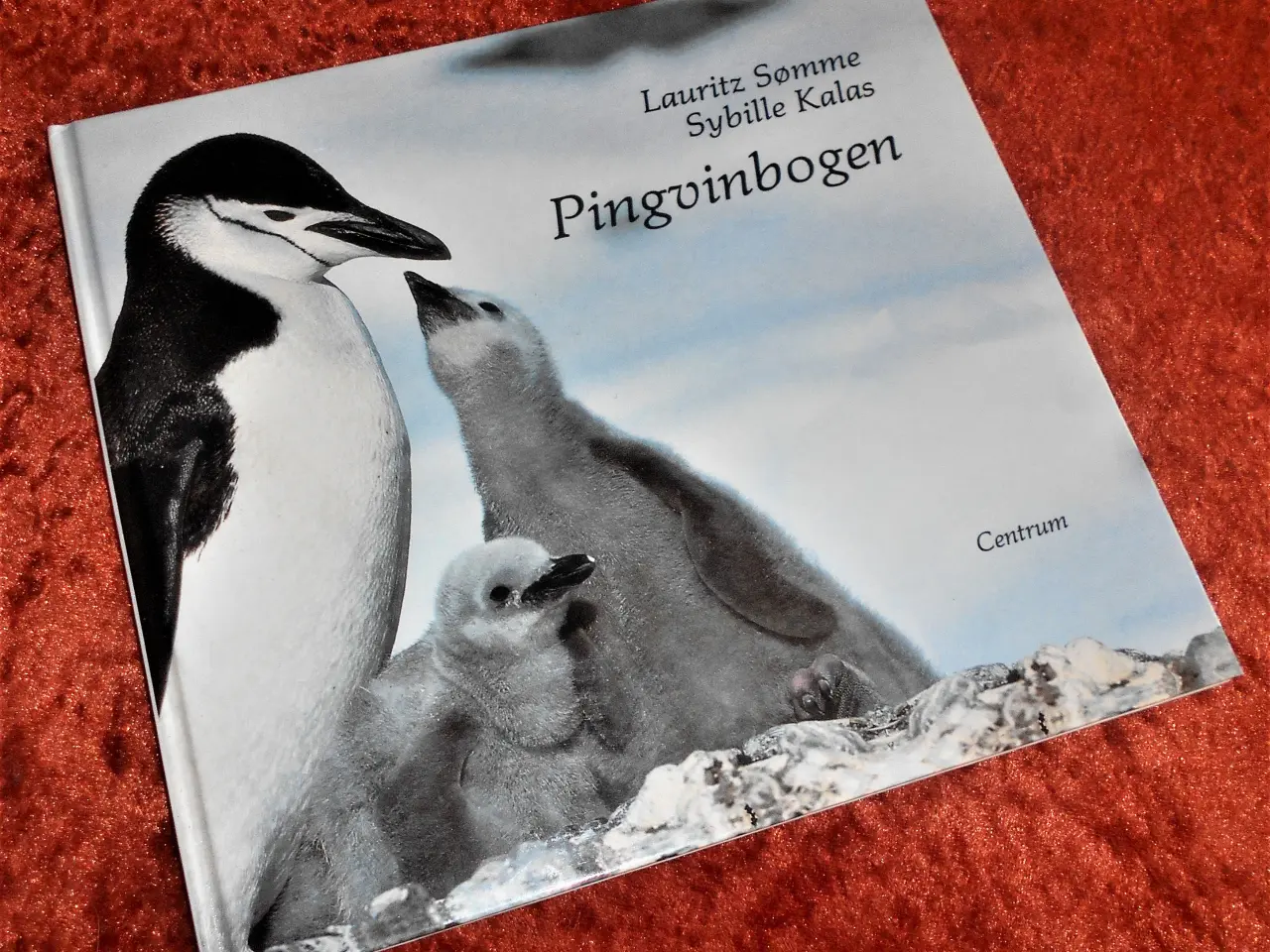 Billede 1 - Pingvinbogen,  Lauritz Sømme, Sybille Kalas,