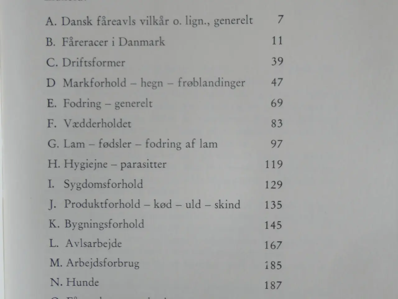 Billede 3 - Får  &  Geder  []