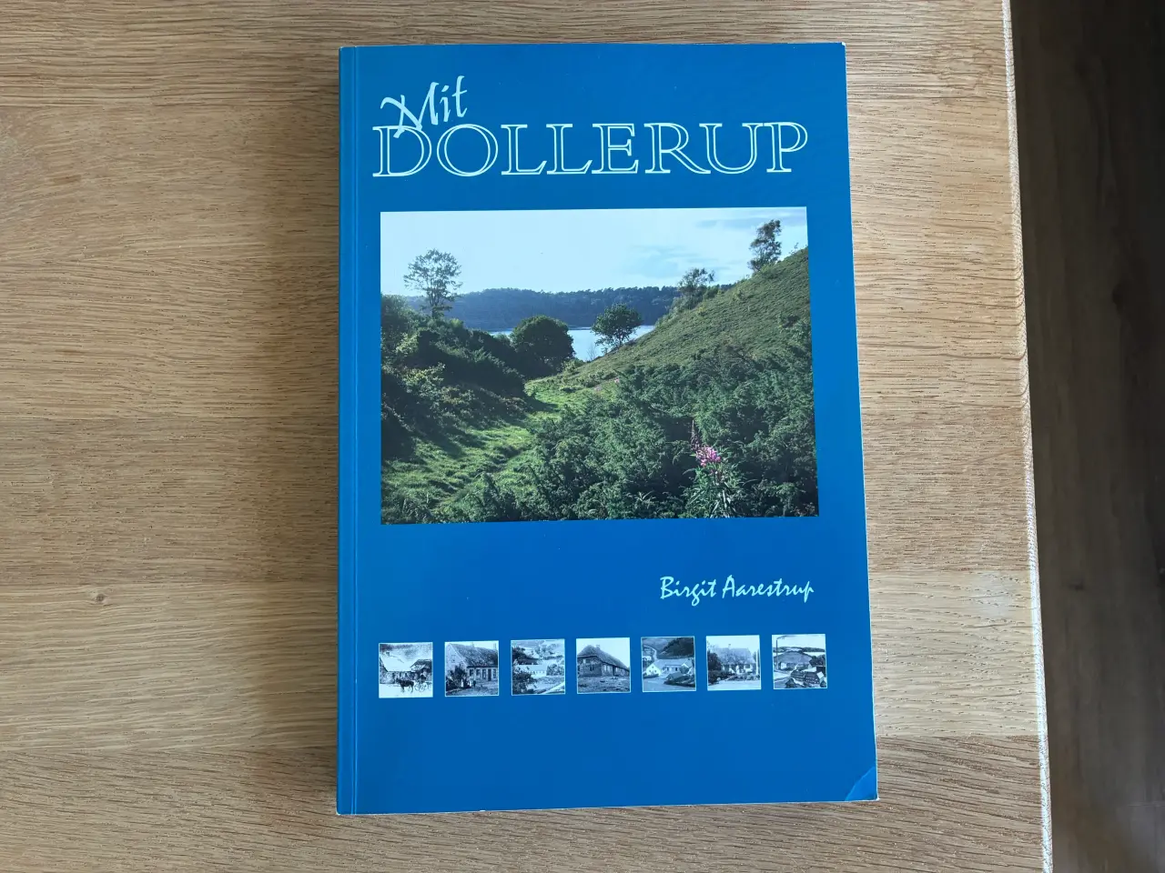 Billede 1 - Mit DOLLERUP af Birgit Aarestrup