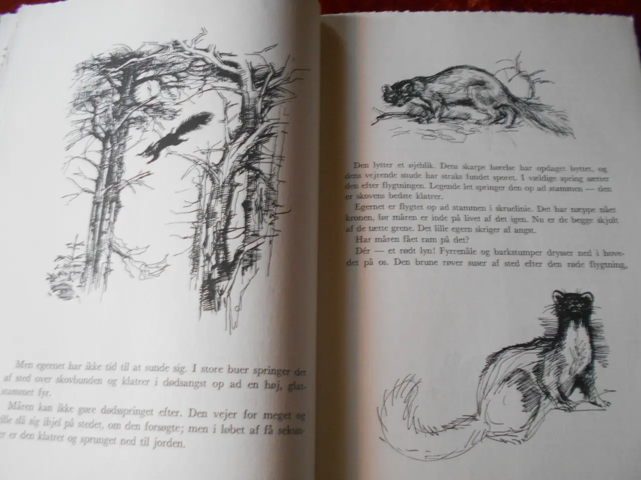 Billede 2 - Dyrene i vore skove, Hans Hvass